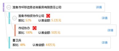 淮南市環(huán)球信息咨詢服務有限責任公司 專業(yè)信息咨詢服務的引領(lǐng)者
